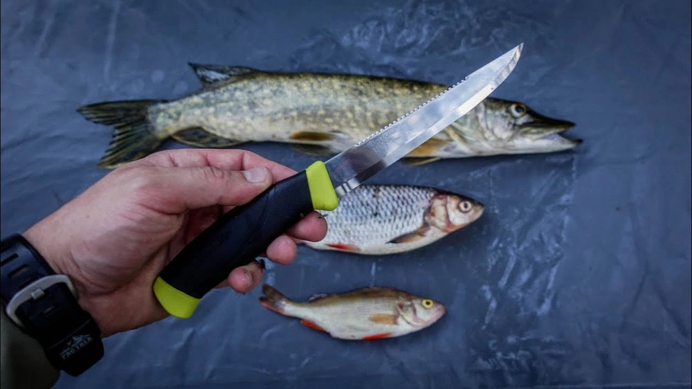 Žuvies filiavimo peilis Morakniv® 098