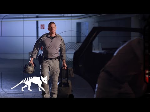Velcro objektyvo įdėklas Tasmanian Tiger M
