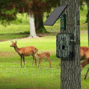 Miško kamera su LIVE vaizdu, GSM ir saulės baterija NN WildCast S8
