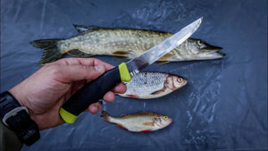 Žuvies filiavimo peilis Morakniv® 098