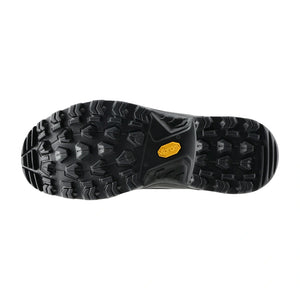 Žygio batai LOWA Renegade GTX Low